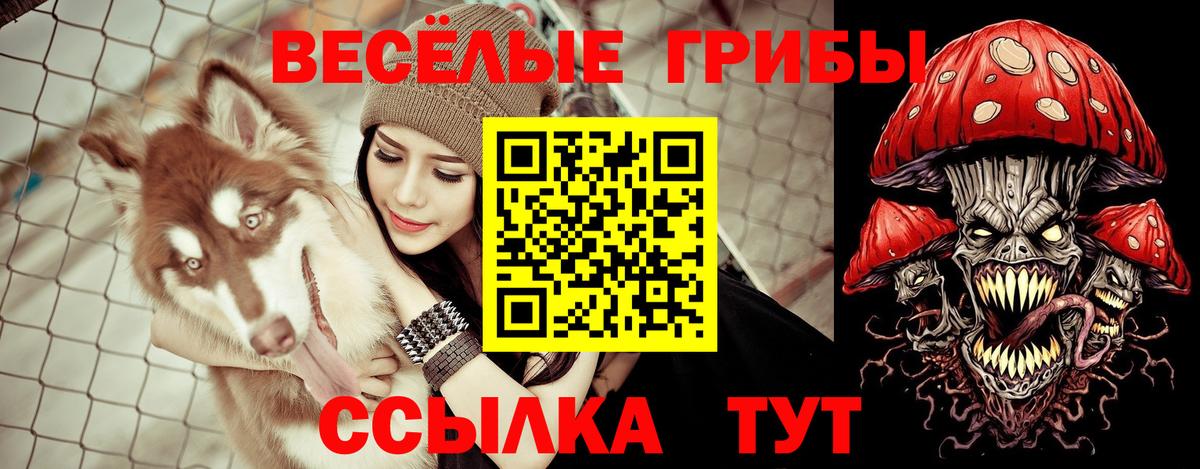 Псилоцибиновые грибы мухоморы  Галлюциногенные грибы мухоморы  где купить наркоту  Вход с VPN  Каспийск 